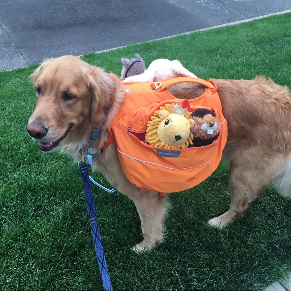 Orange Ruff Wear Dog Pack